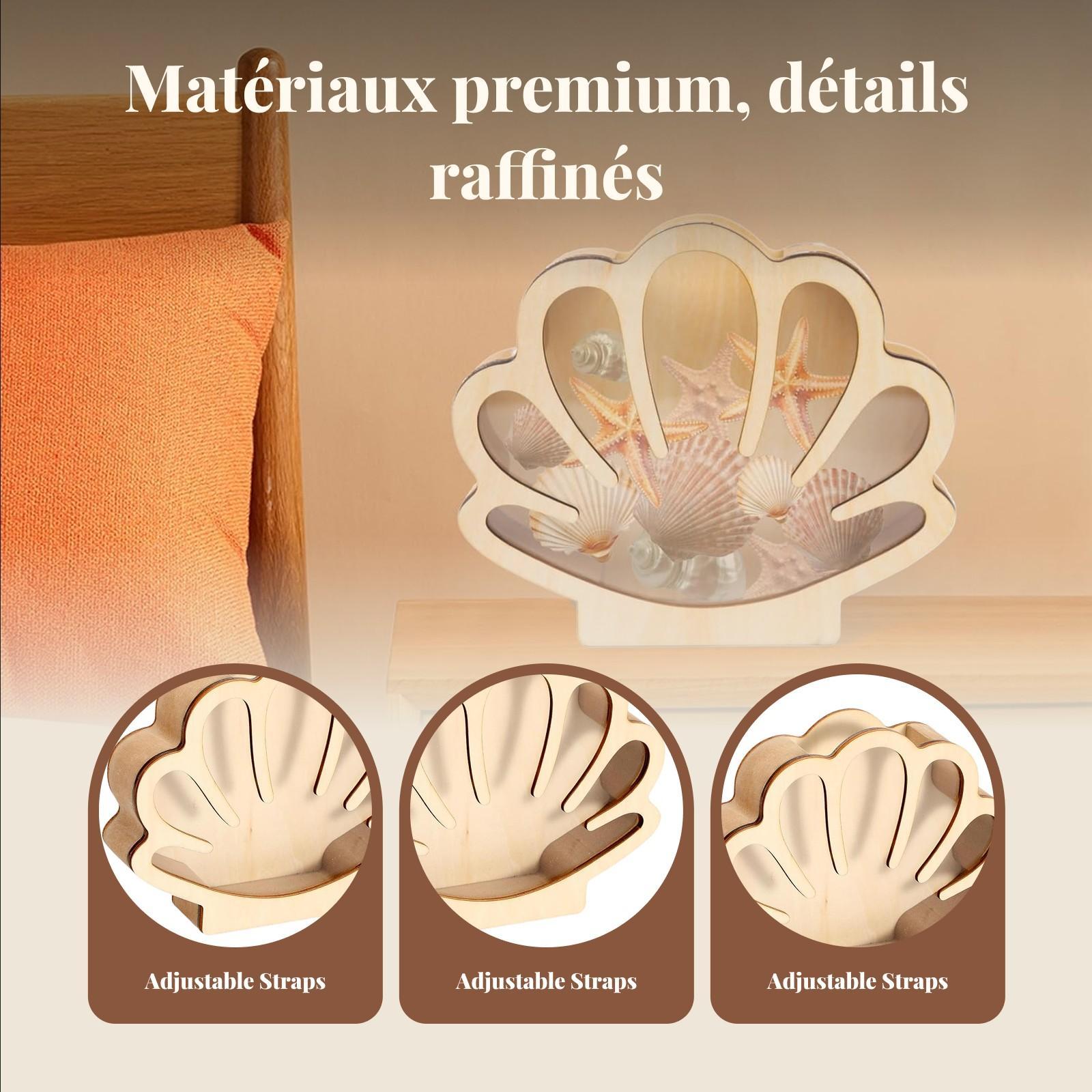Wooden Shell Display Box Colle - Collectors Coins Jewelry & Watches Of Smithtown 评论和价格